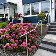 Gelaender_eingang_remscheid